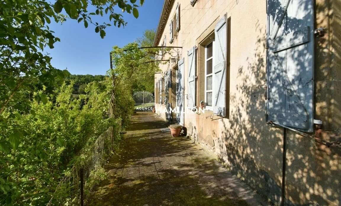 Maison à CORDES-SUR-CIEL