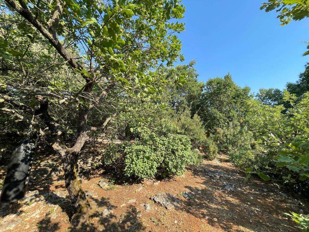 A vendre gareoult 83136 belle maison individuelle de plain pied ! - photo 4