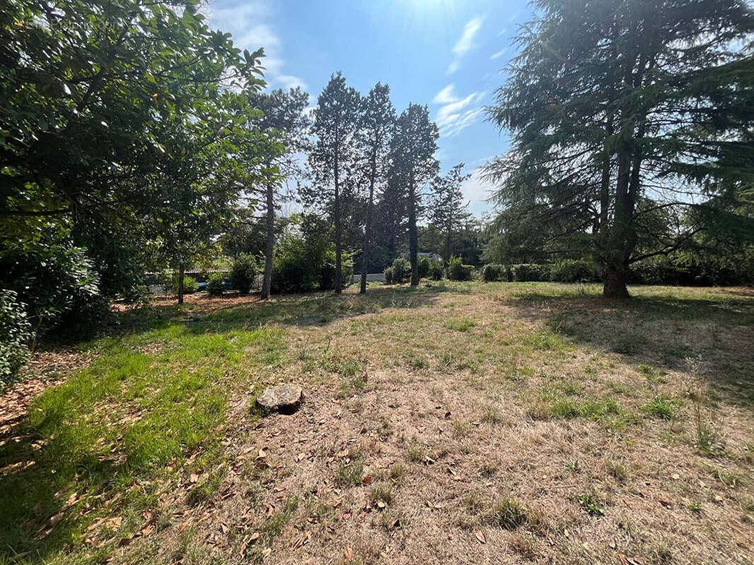 Terrain à SAINT-BENOIT