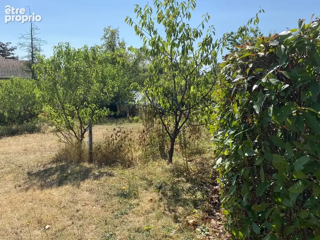 Parcelle de terrain à bâtir à Chazay-d'Azergues hors lotissement - photo 3