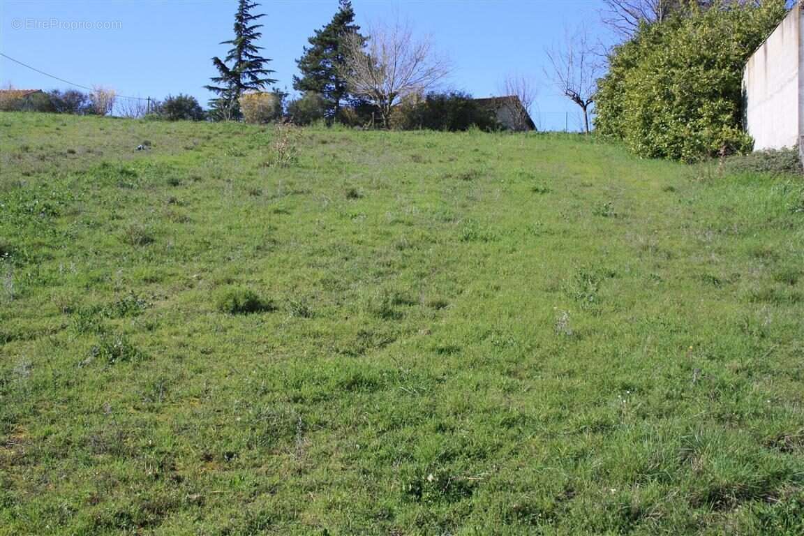 Terrain 2590 m² à Graulhet  - photo 5