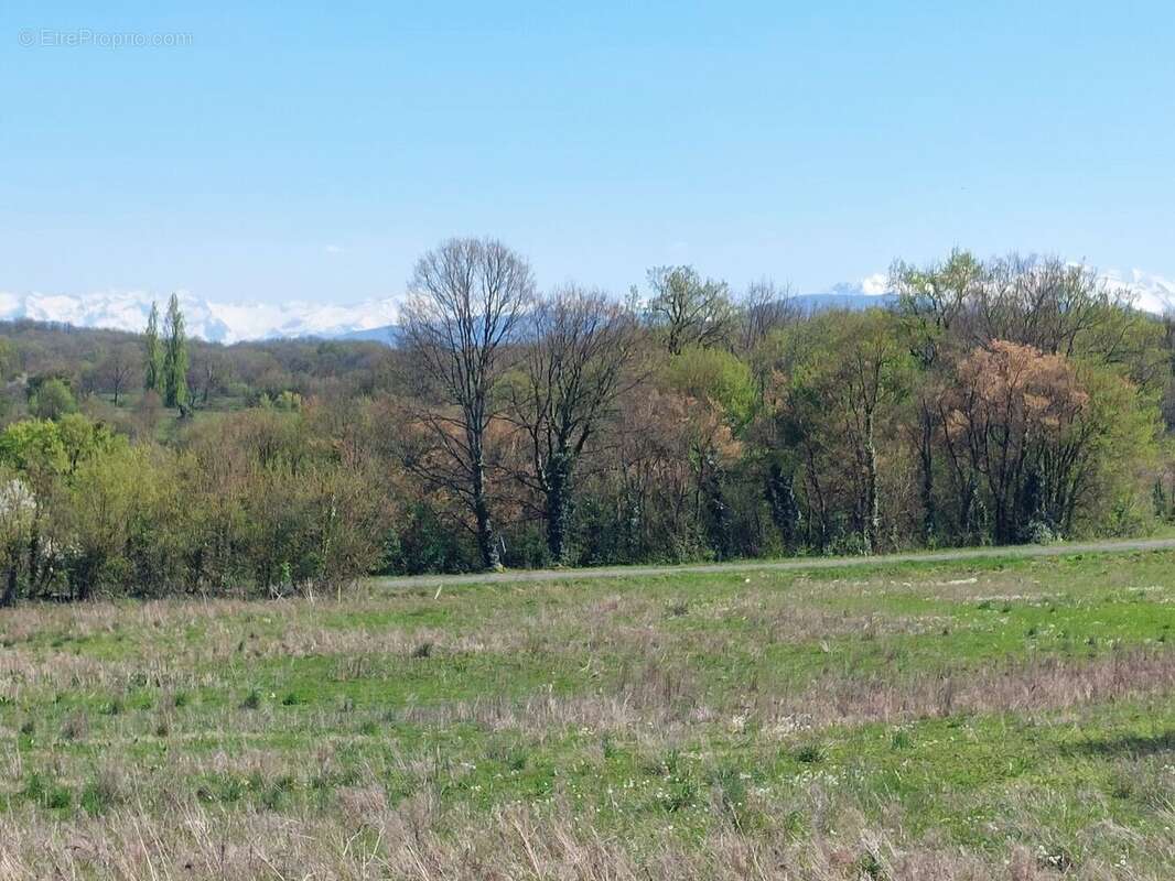 20260408154207 - Terrain à SAINT-MARTORY