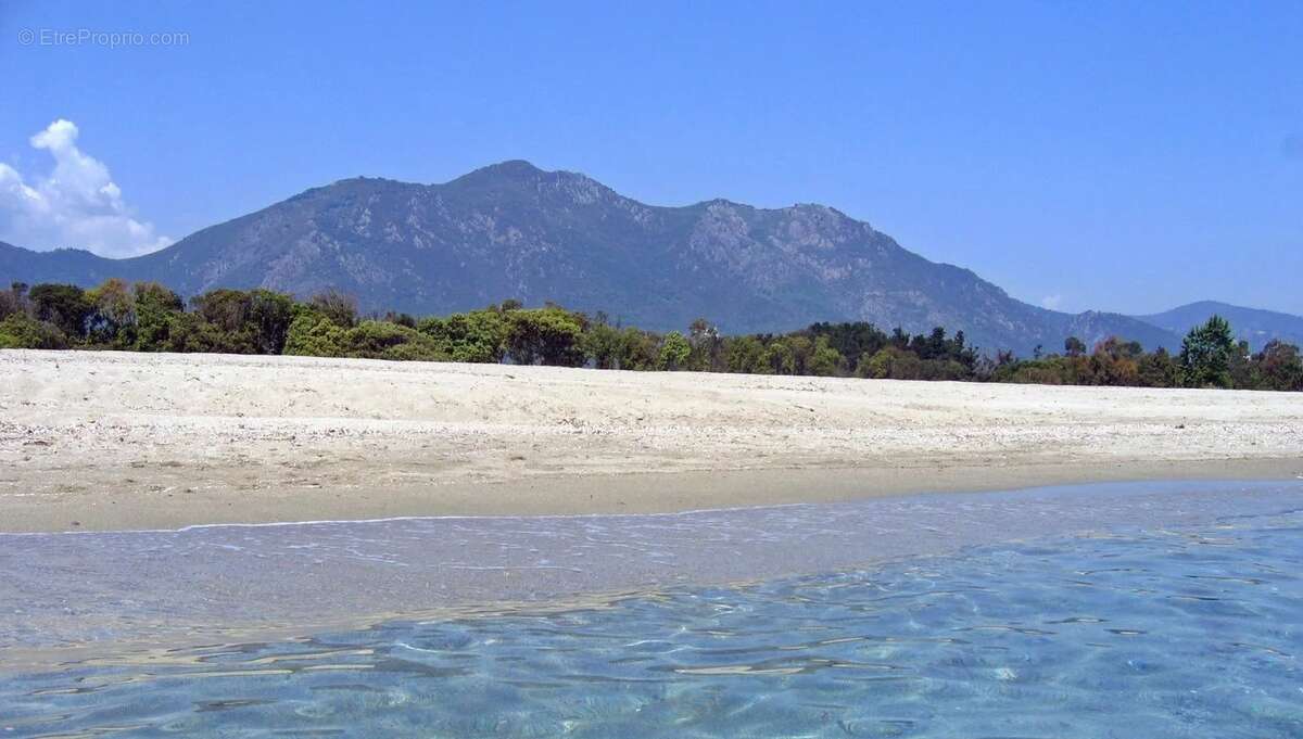 Appartement à CERVIONE