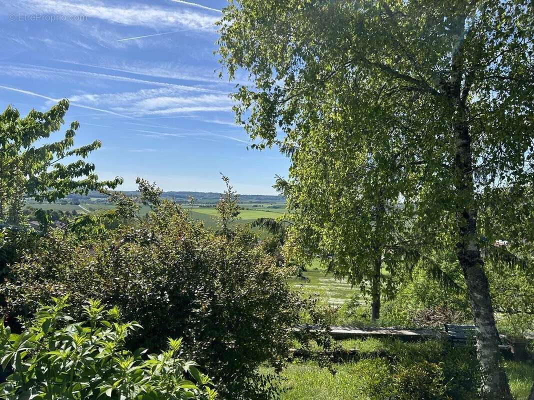 Maison à VILLEBOIS-LAVALETTE