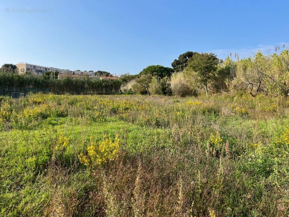 Terrain à PUGET-VILLE
