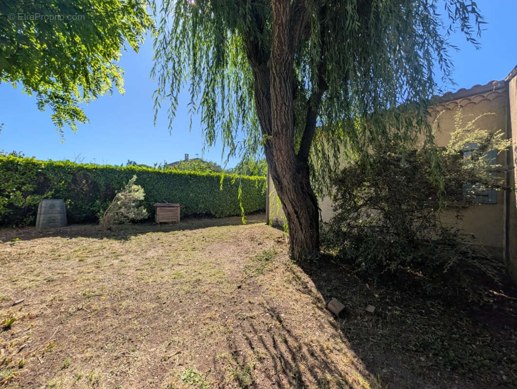 Maison à ENTRAIGUES-SUR-LA-SORGUE