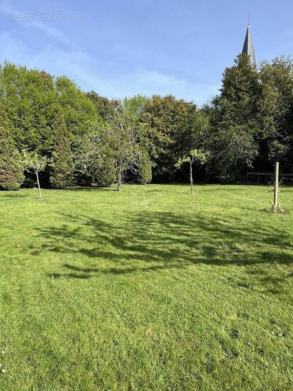 Terrain à ROTS