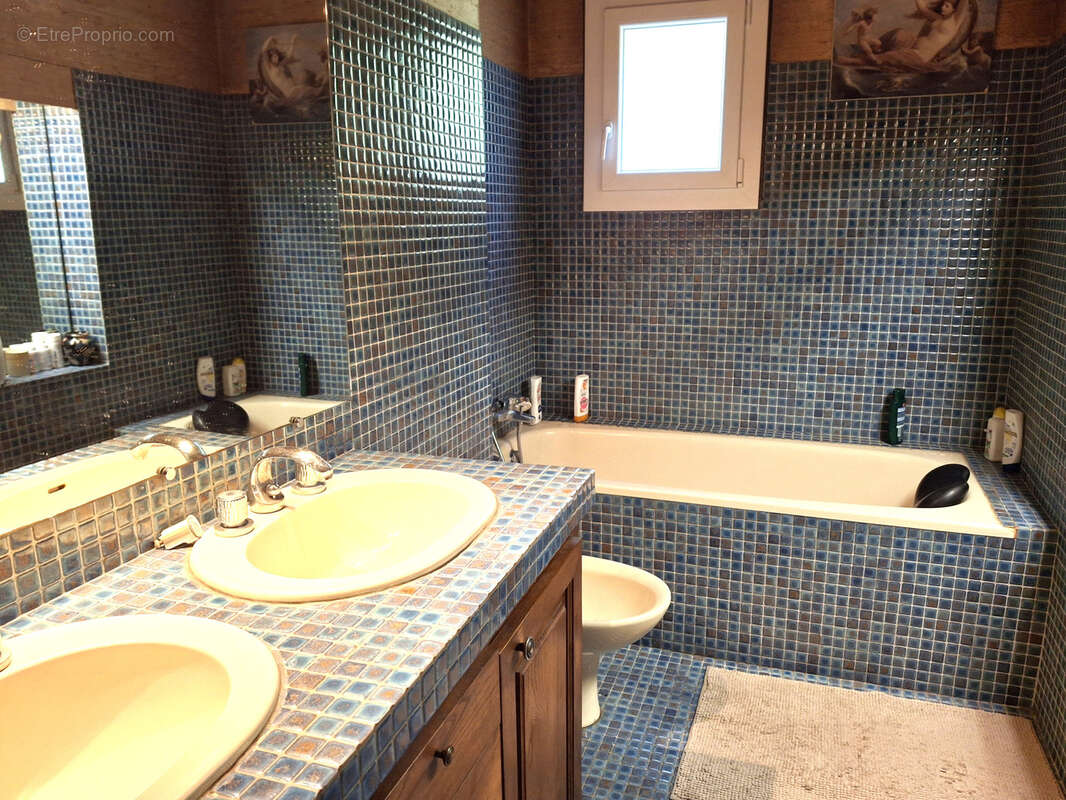 Maison à MONTFERRIER-SUR-LEZ