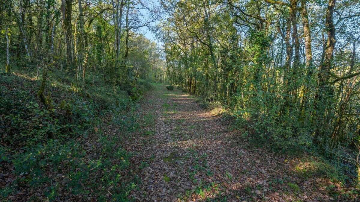 Maison à PUY-L&#039;EVEQUE