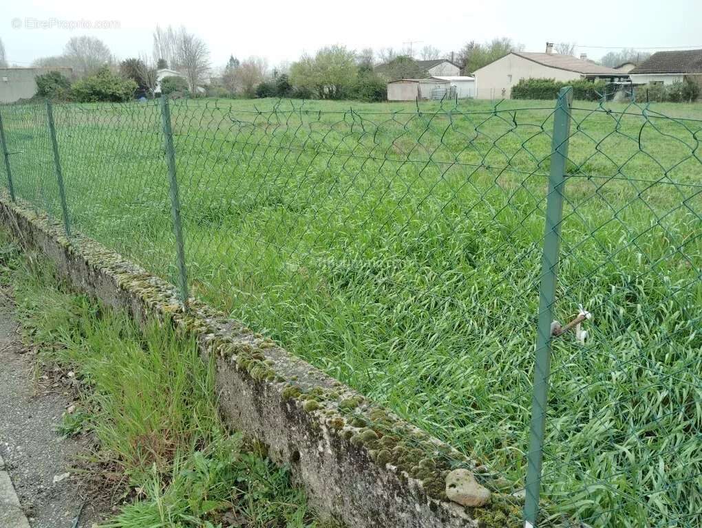 Terrain à LABOUTARIE