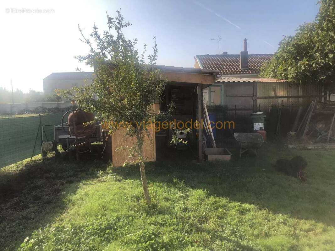 Réf. annonce : 9952.T - VIAGER OCCUPE - BRUGES (33) - photo 5