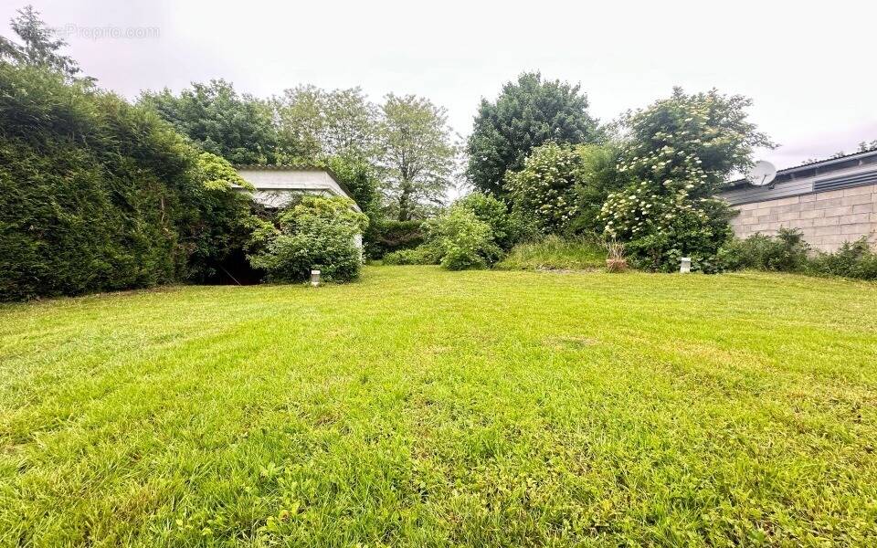 Terrain à LE PLESSIS-TREVISE