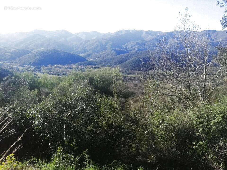 Terrain à REYNES