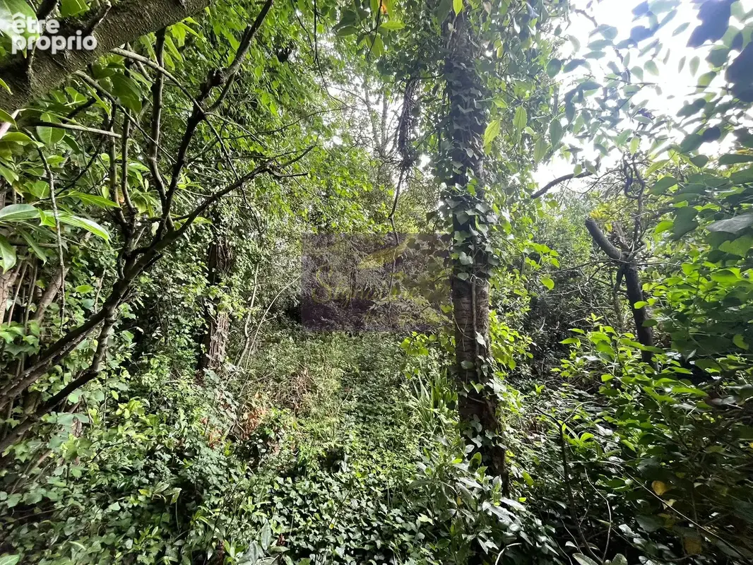 CLE MANS - SAINT PAVIN -  Mancelle de 193 m2. Jardin Secret de 393 m2, un potentiel exceptionnel. - photo 5