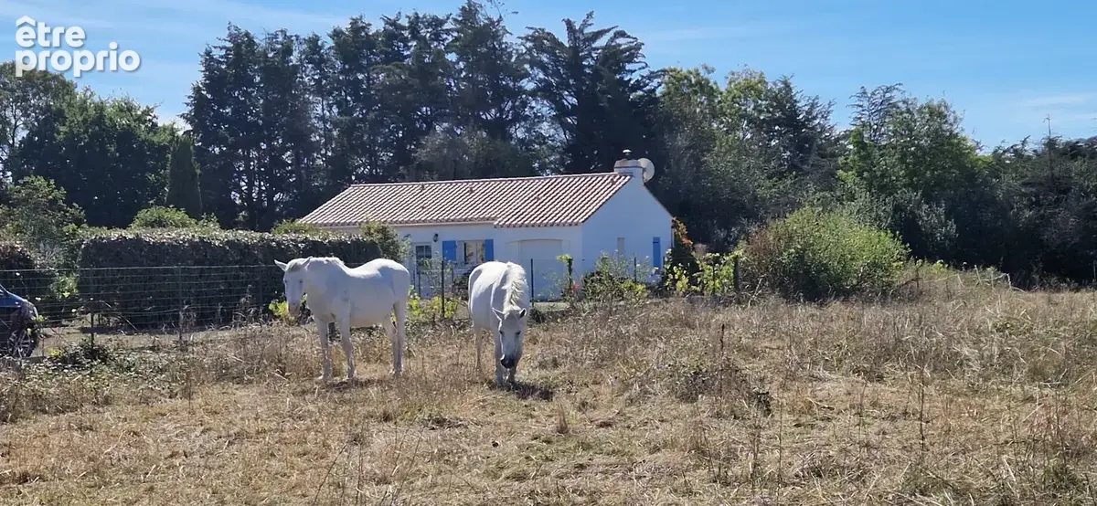 Photo Maison à La Plaine-Sur-Mer au prix de 360 525€