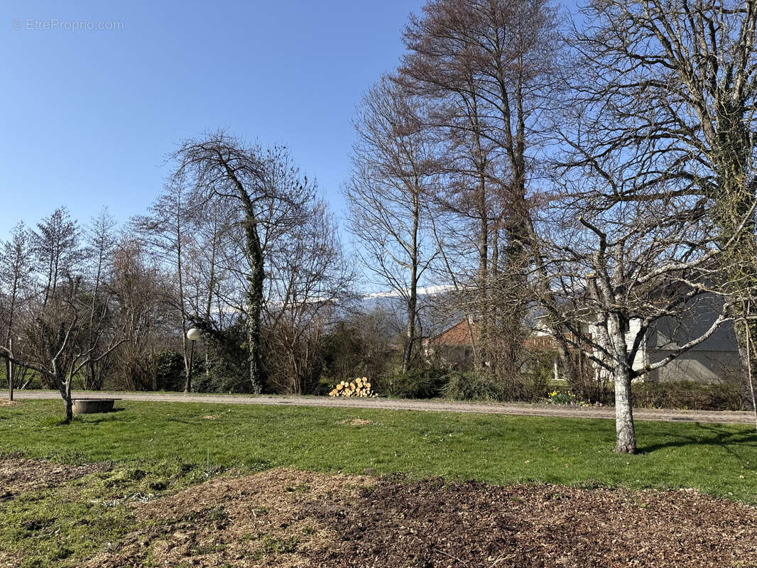 Terrain à PREVESSIN-MOENS