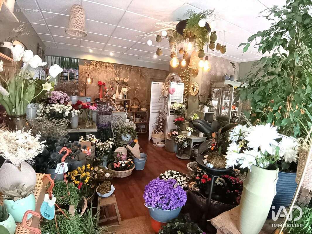 Photo 3 - Commerce à LORIENT