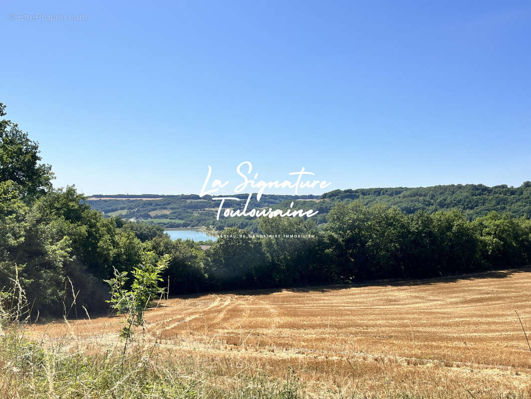 Maison 520 m² à Laroque-Timbaut  - photo 3