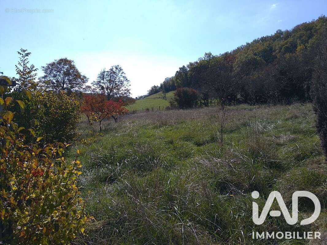 Terrain 1365 m² à Cuzieu  - photo 7