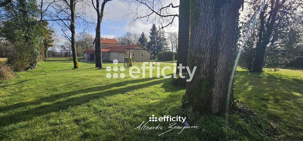 Maison 279 m² à Reffannes  - photo 19
