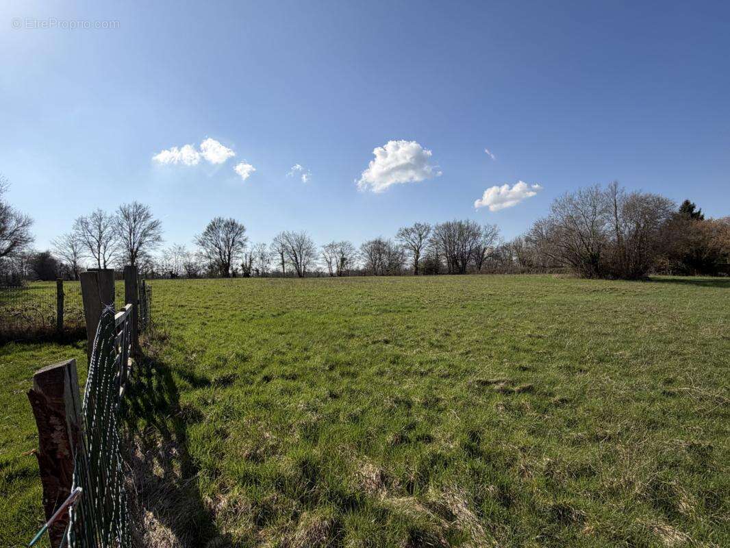 Longère en pleine campagne proche Bellême sur 2ha - photo 33