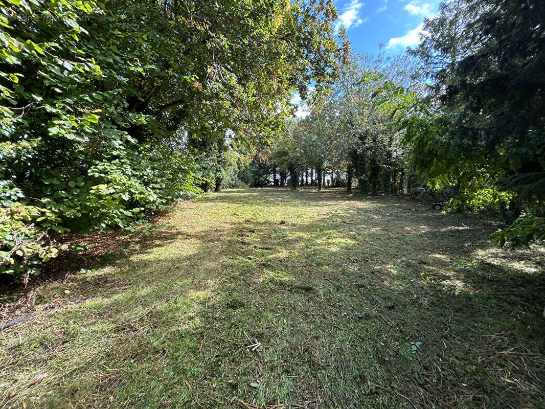 Terrain à ETERVILLE