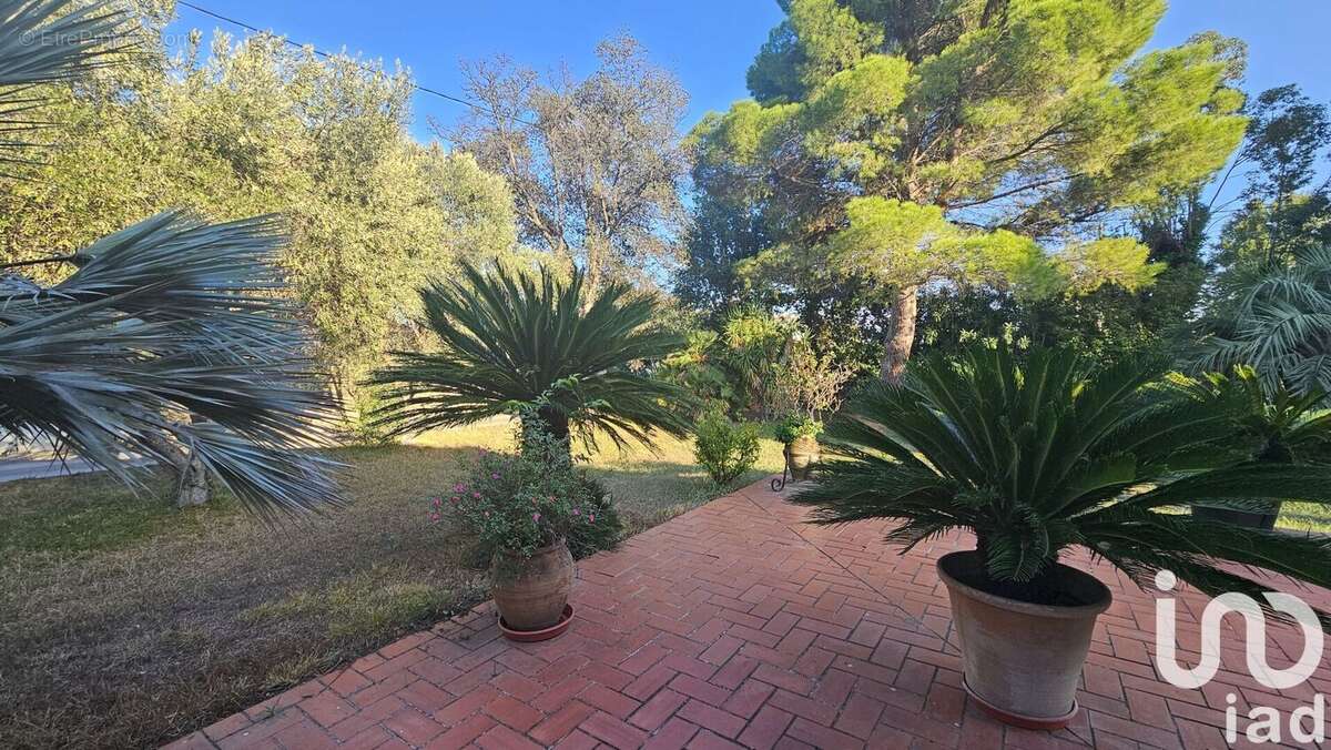 Photo 6 - Maison à MILLAS