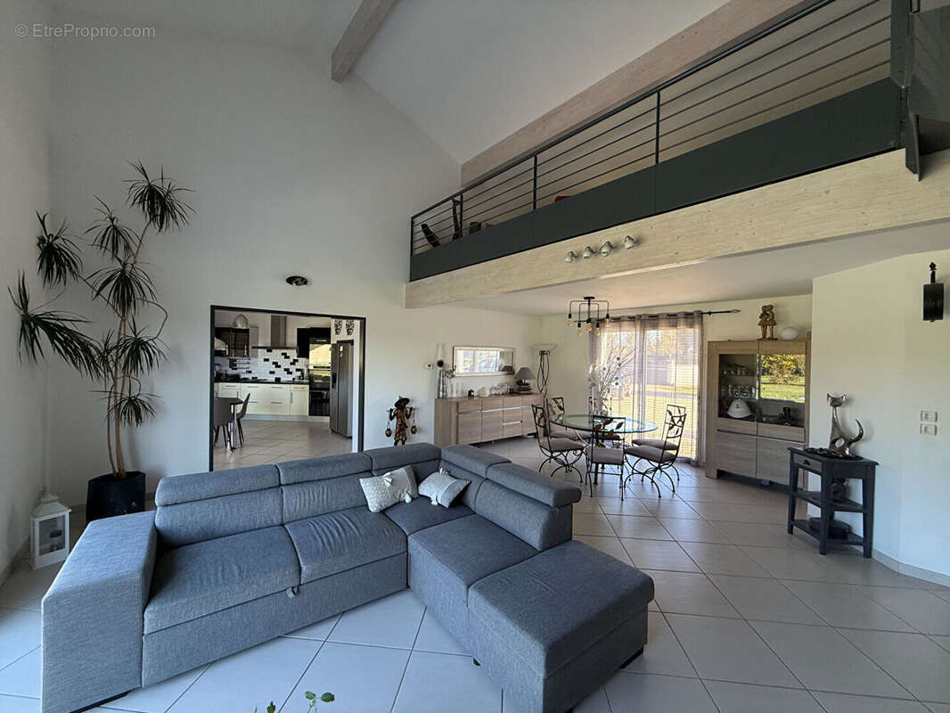 Maison à SAINT-VITE