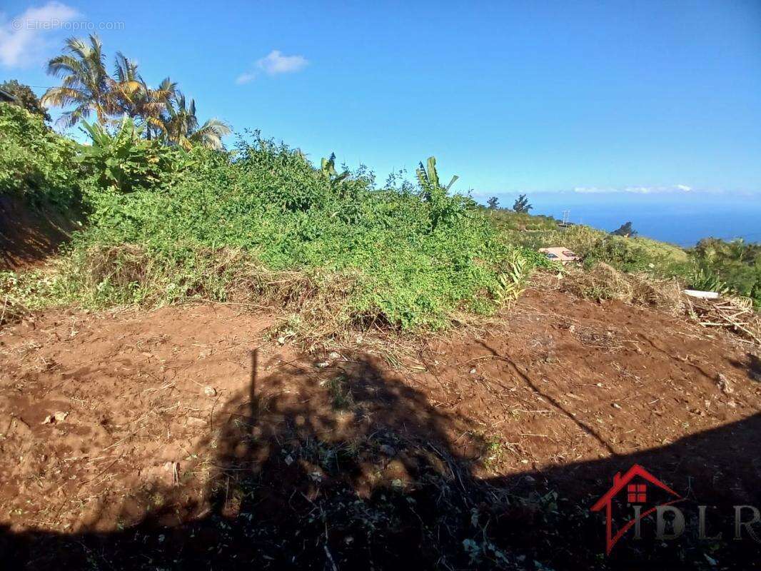 En EXCLUSIVITÉ : Terrain constructible de 1 333 m2 avec vue - photo 5