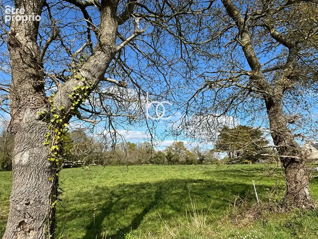 Berric - Terrain 1,5 hectare de Nature, Source et Ruisseau - photo 3