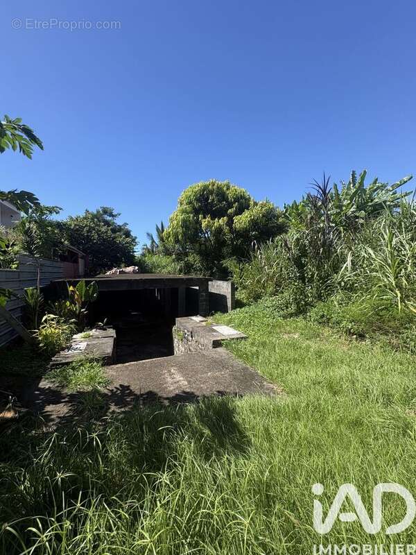 Photo 6 - Terrain à BRAS-PANON