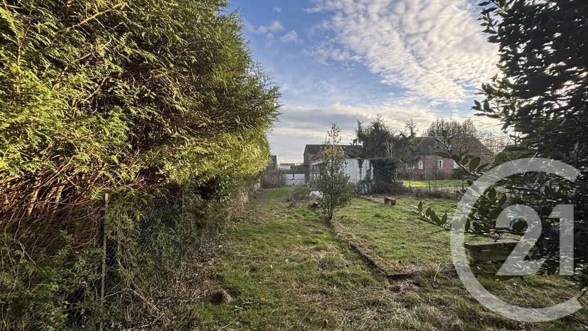 Terrain à BRANCOURT-LE-GRAND