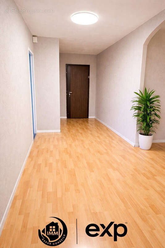 Couloir entrée - Appartement à VILLEURBANNE