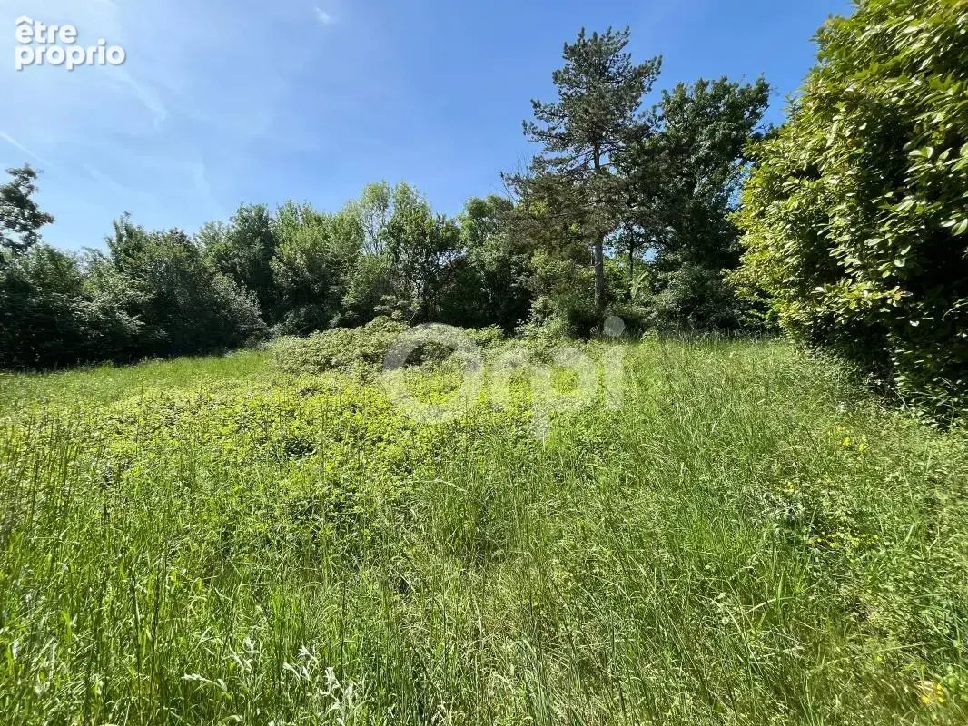 Photo Terrain à Chasteaux au prix de 45 000€