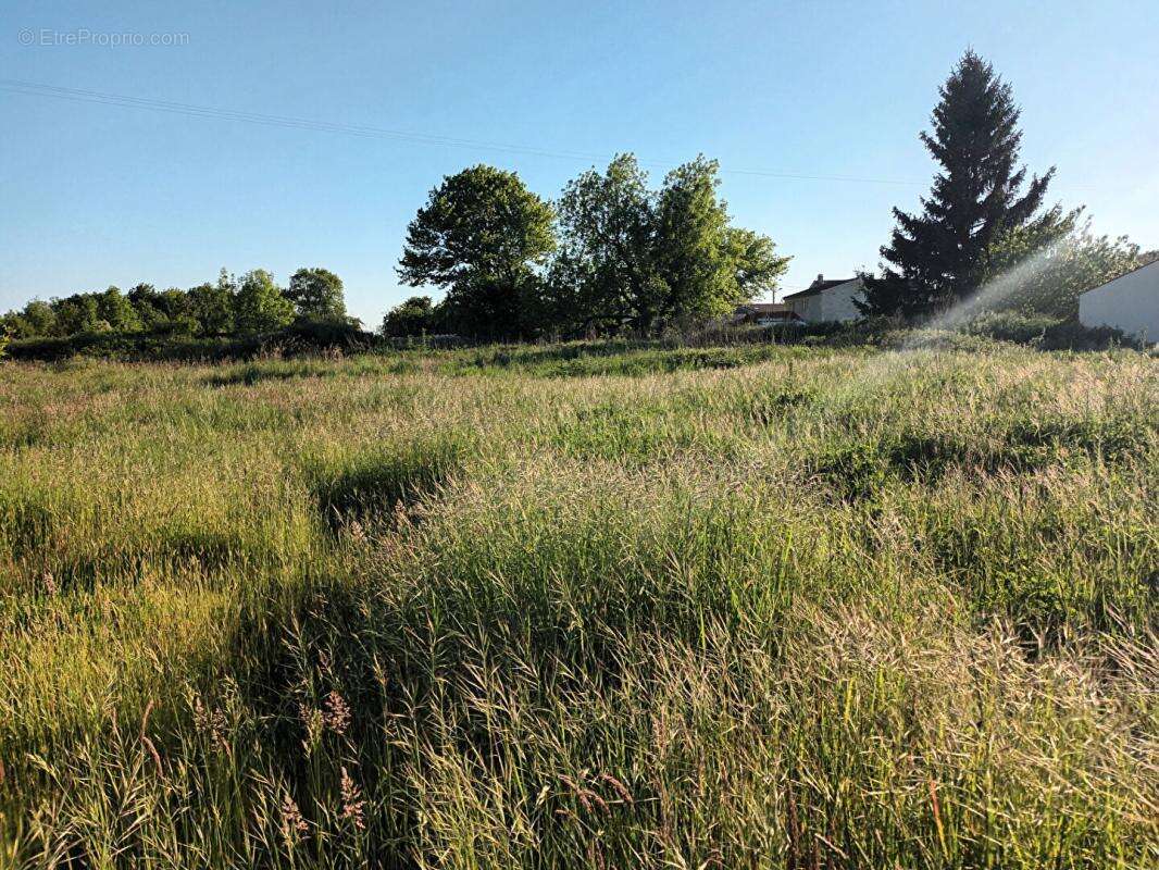 Terrain constructible 17 Le Mung 723 m2 choix du constructeur libre - photo 2