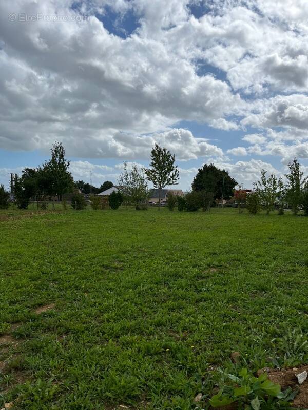 Terrain à SOUGE-LE-GANELON