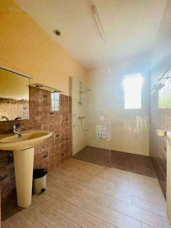 Maison à SAINT-PAUL-MONT-PENIT