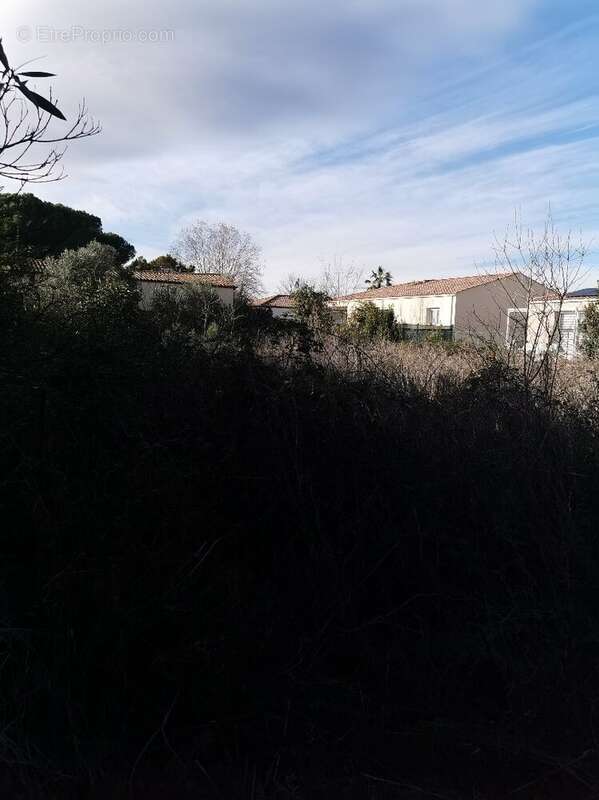 Terrain à BEZIERS