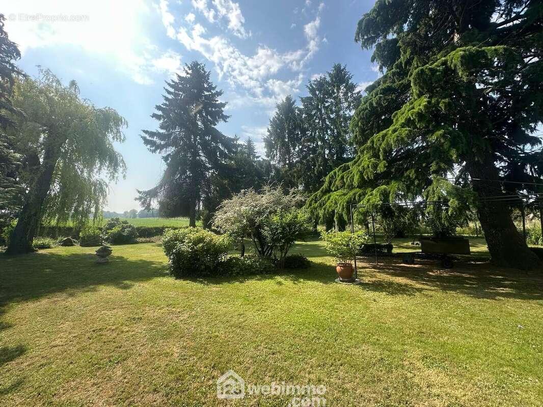 Erigér sur un terrain d'1hectare 100 - Maison à MONTIGNY-SOUS-MARLE
