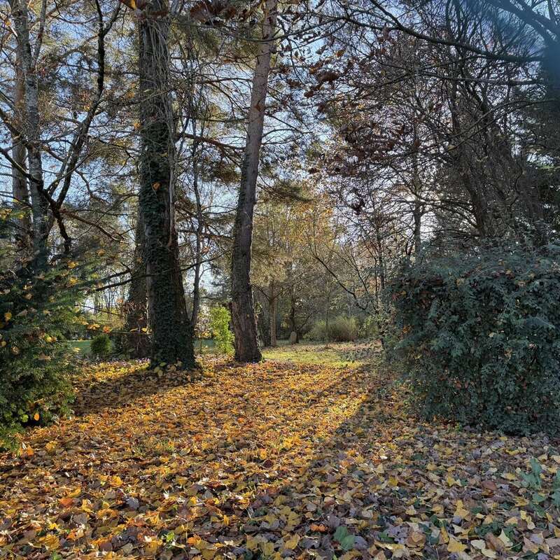 Terrain à CHEVANNES