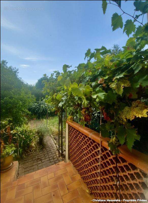 Maison à MONTPELLIER