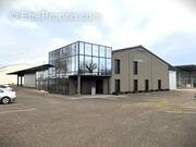 Commerce à MARCKOLSHEIM