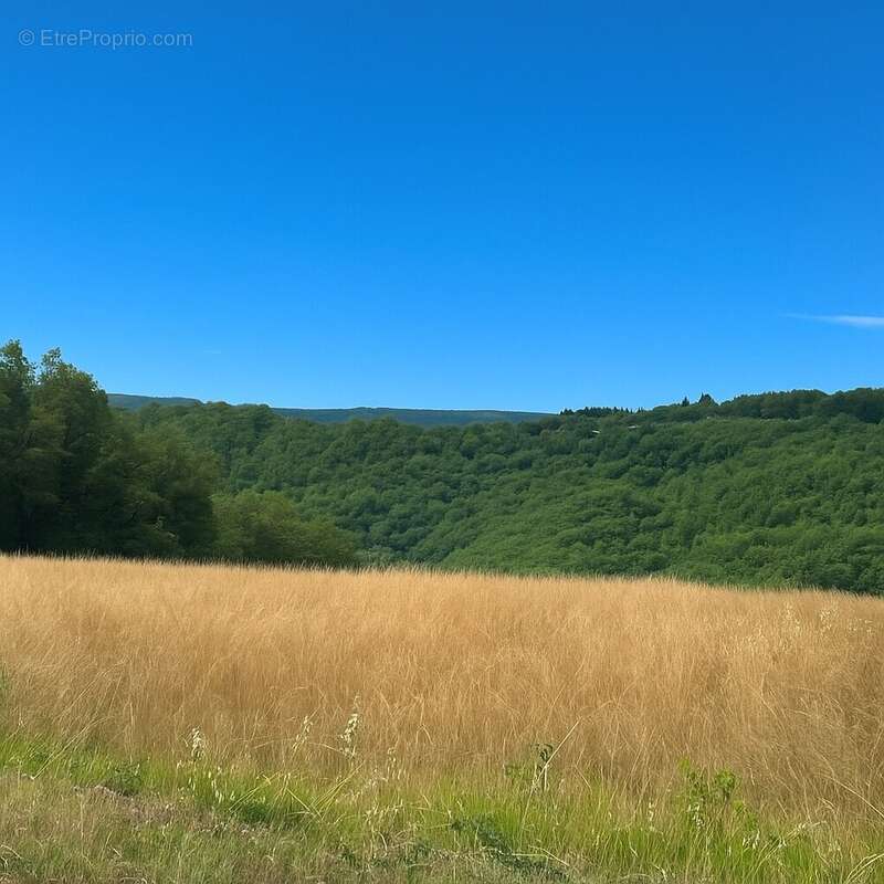 Terrain 2057 m² à Souillac  - photo 3