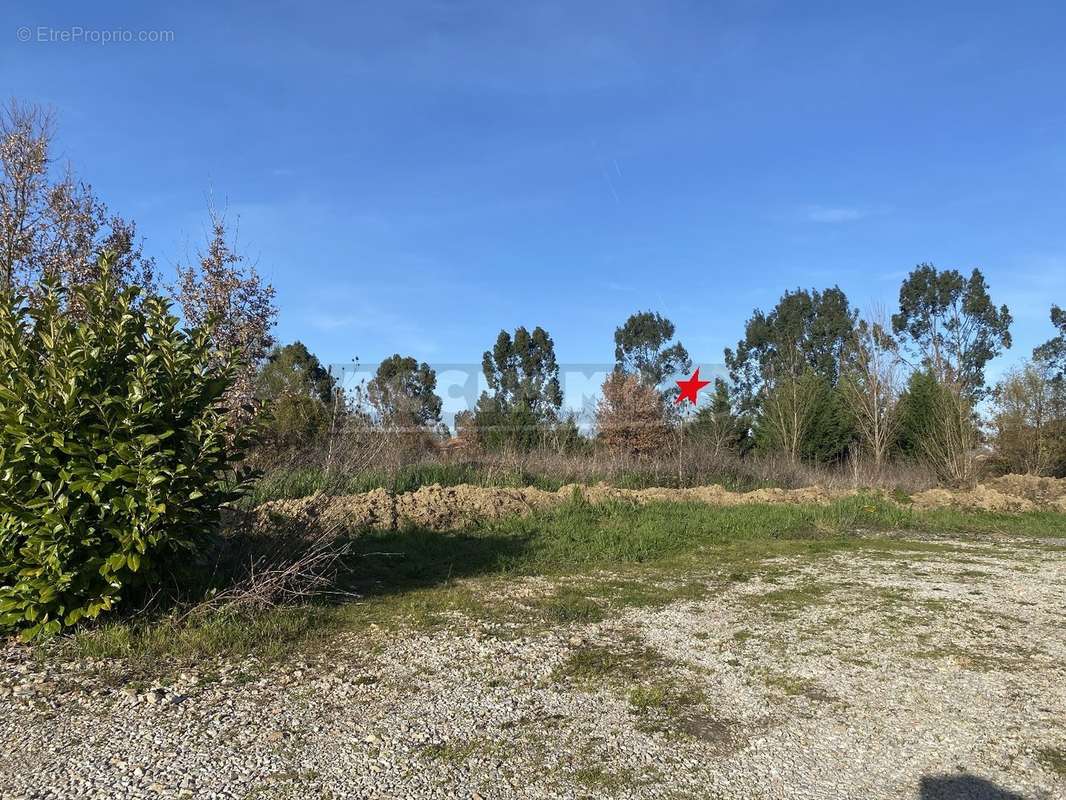 Terrain à SAINT-SULPICE