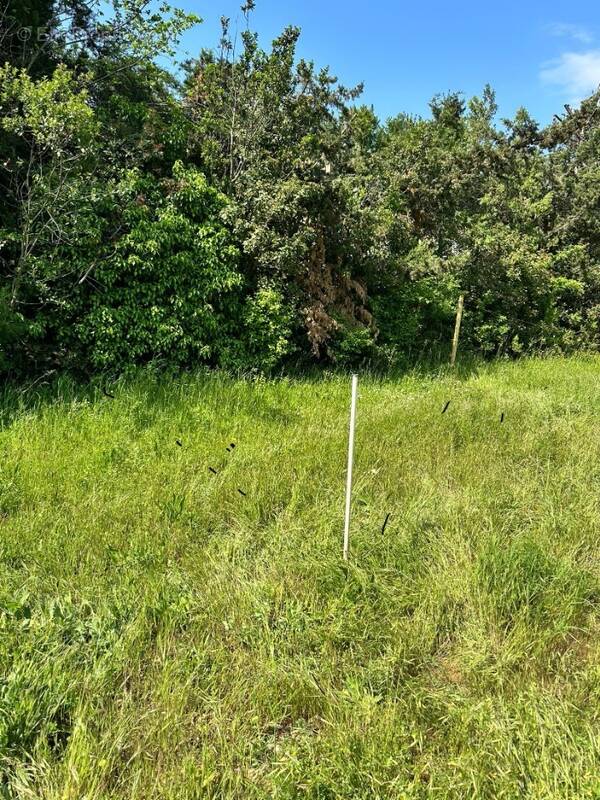 Terrain à SEPTEMES-LES-VALLONS