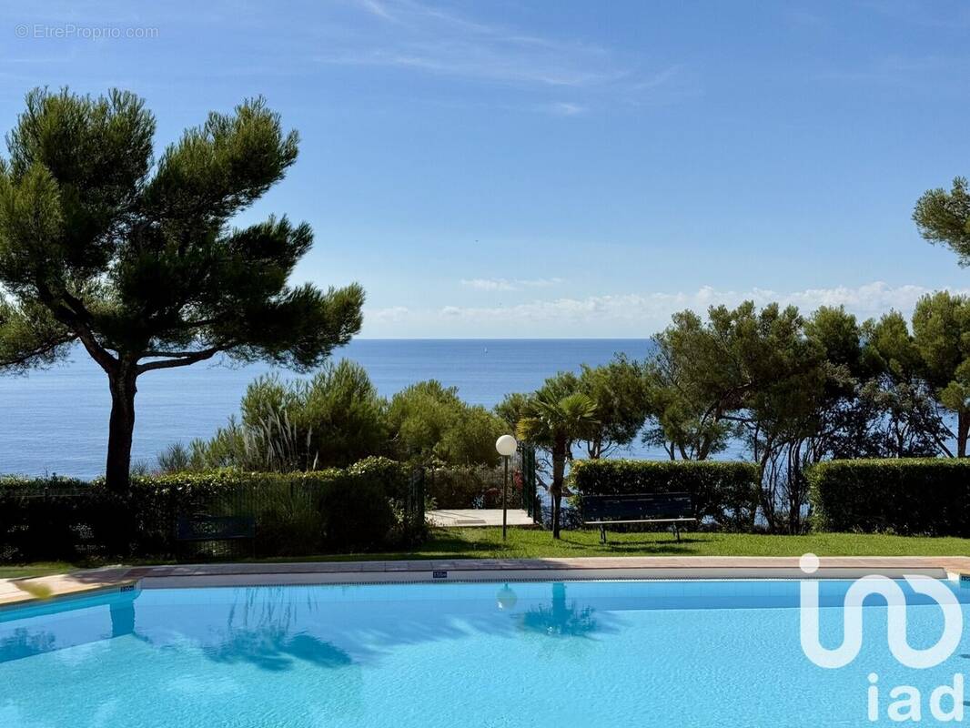 Photo 1 - Appartement à SAINT-MANDRIER-SUR-MER
