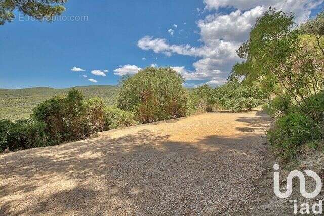 Photo 4 - Maison à CEYRESTE