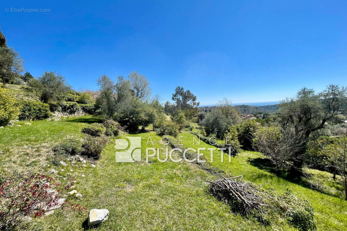 Terrain 1316 m² à Vence  - photo 2