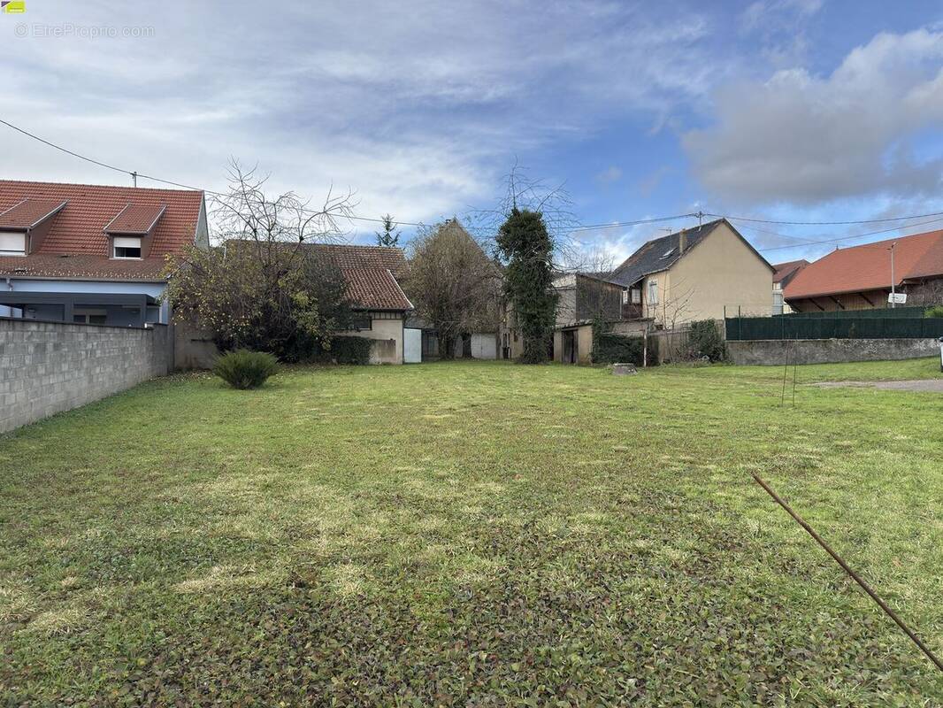 Terrain à ORSCHWIHR