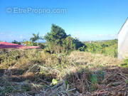 Terrain à SAINTE-SUZANNE